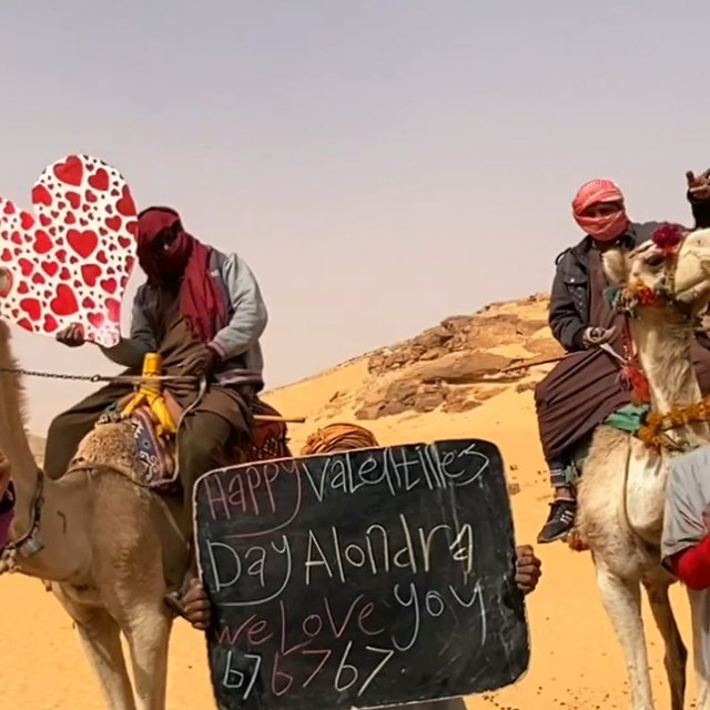 Sahara Desert Team with camels